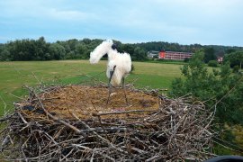 Winkt er uns etwa zum Abschied?